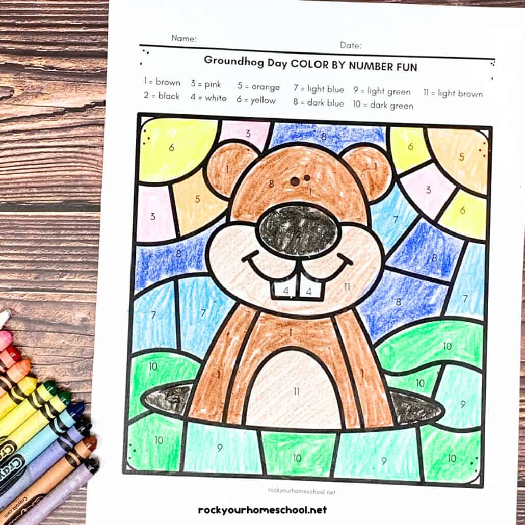 groundhog day colornumber pages for fantastic fun (free